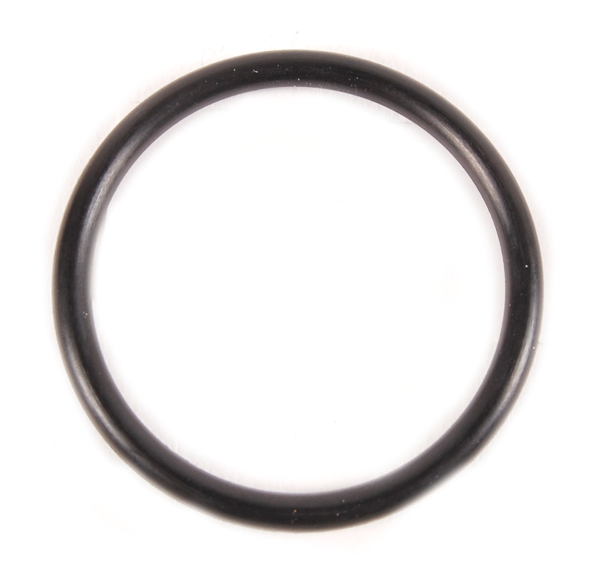 Thermostat Gasket - BRP (301917)