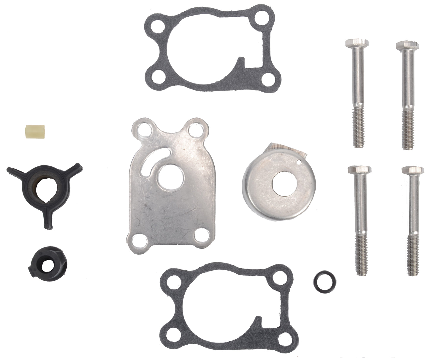 Water Pump Kit - BRP (436737)