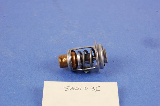 Thermostat - BRP (5001036)