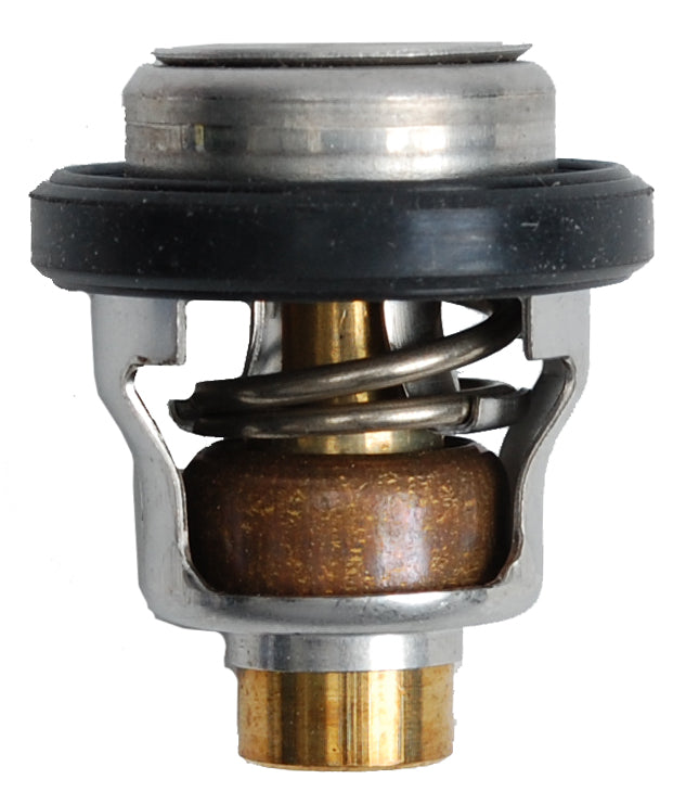 Thermostat - BRP (5031762)