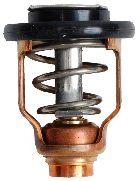 Thermostat - BRP (5033722)